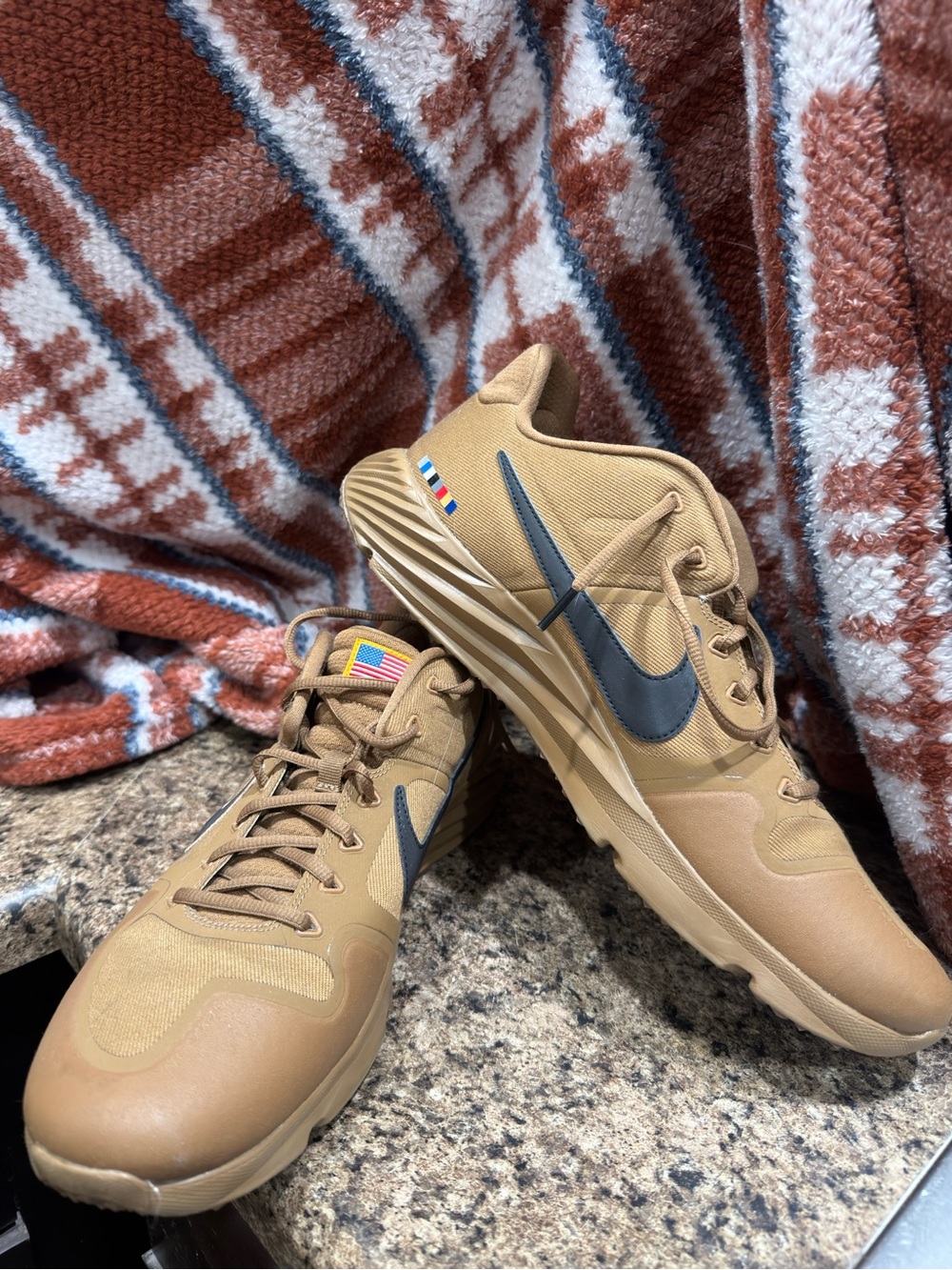 Nike Men’s Brown/Black Low-Top Sneakers
